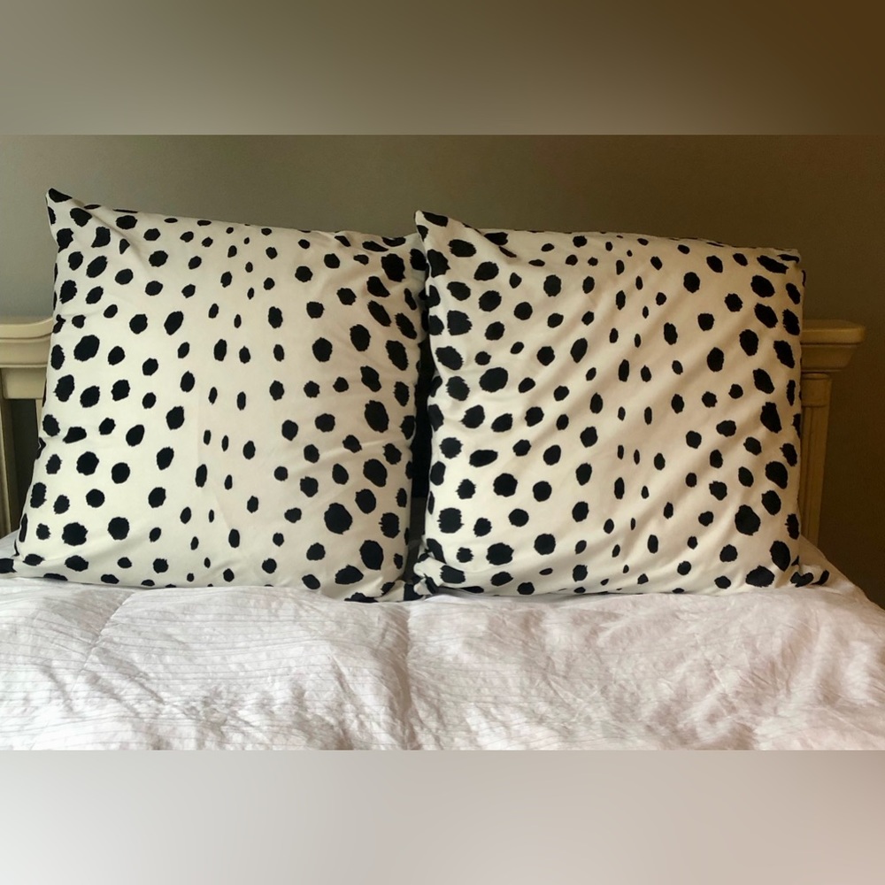 Like New Euro Shams (28x28)